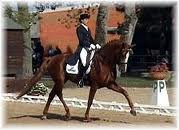 The Cumberland County 4-H Horse Program will host a Dressage Schooling Show on Sunday, May 1